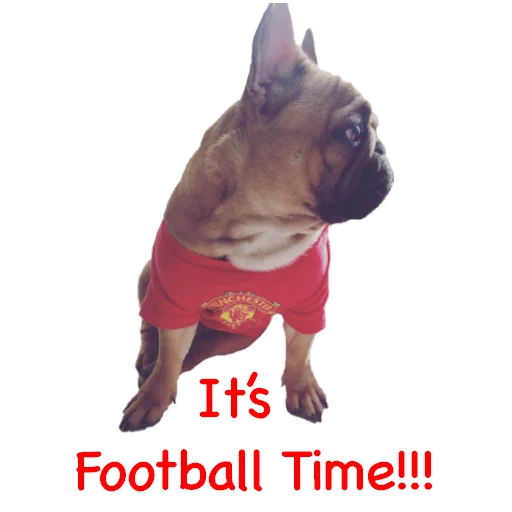 ⚽️ Стикер «Bob Marley??The Frenchies» для Telegram