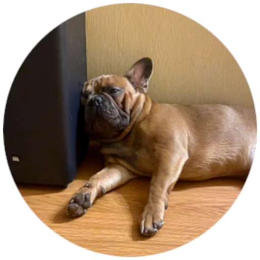 😴 Стикер «Bob Marley??The Frenchies» для Telegram