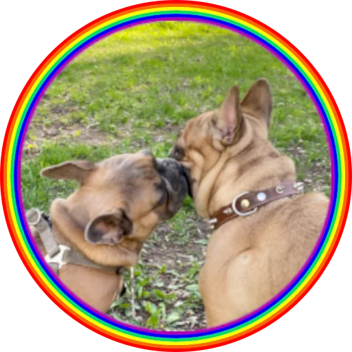 🌈 Стикер «Bob Marley??The Frenchies» для Telegram
