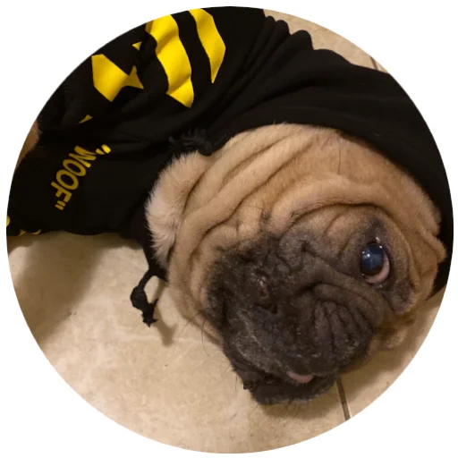 😦 Стикер «Bob Marley??The Frenchies» для Telegram
