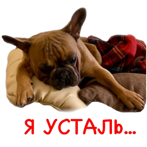 😫 Стикер «Bob Marley??The Frenchies» для Telegram