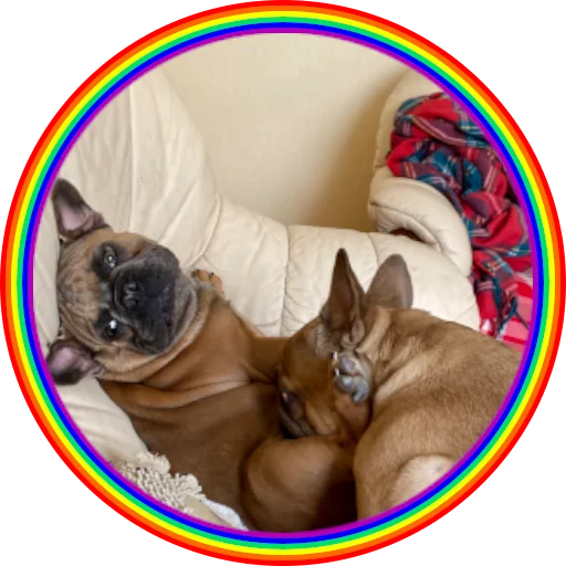 🏳️‍🌈 Стикер «Bob Marley??The Frenchies» для Telegram