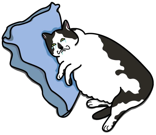 😭 Стикер «Bo-Bo Cat» для Telegram