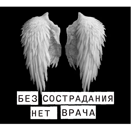 😇 Стикер «Доказательство по телу» для Telegram