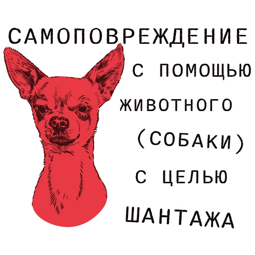 🐶 Стикер «Доказательство по телу» для Telegram