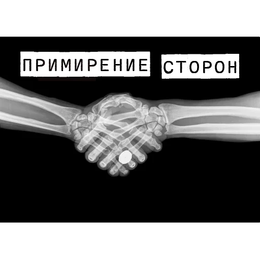 🤝 Стикер «Доказательство по телу» для Telegram