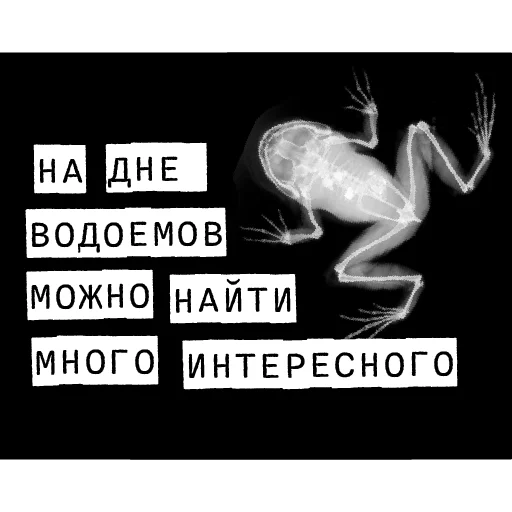 🐸 Стикер «Доказательство по телу» для Telegram
