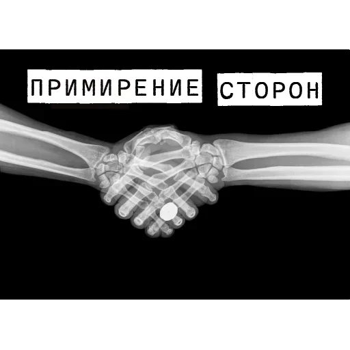 🤭 Стикер «Forensics» для Telegram