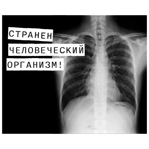 🫵 Стикер «Forensics» для Telegram