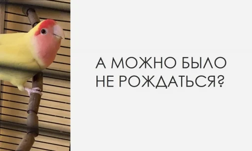 😮 Стикер «BOINCPROTEINE» для Telegram
