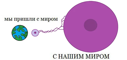 🌏 Стикер «BOINCPROTEINE» для Telegram