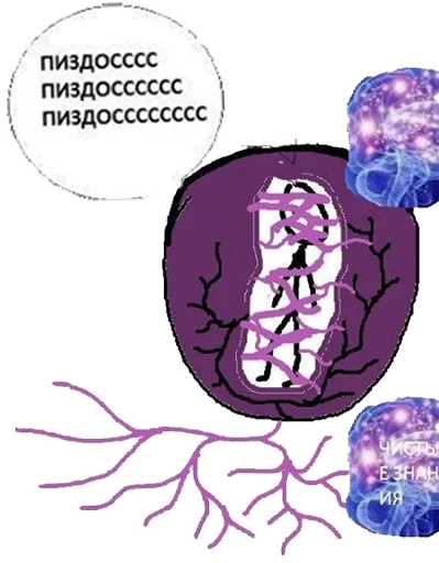 😱 Стикер «BOINCPROTEINE» для Telegram
