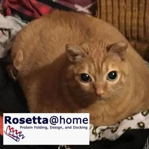 🐱 Стикер «BOINCPROTEINE» для Telegram