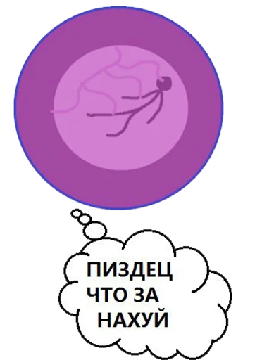 Стикерпак BOINCPROTEINE для Telegram