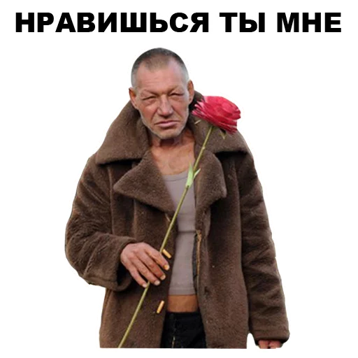🌹 Стикер «БОМЖИ» для Telegram