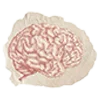 🧠 Эмодзи «book aesthetics font» для Telegram