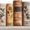 📚 Эмодзи «Книги девы» для Telegram