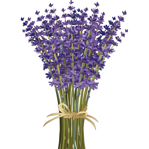 💐 Стикер «Guldasta Flowers» для Telegram