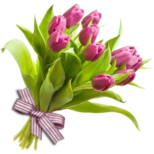💐 Стикер «Guldasta Flowers» для Telegram