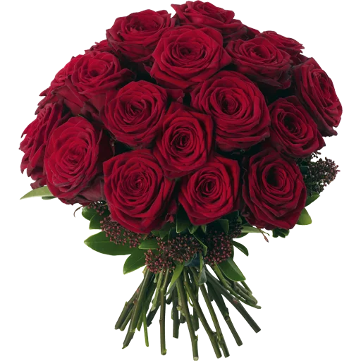 💐 Стикер «Guldasta Flowers» для Telegram