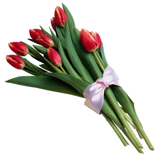 💐 Стикер «Guldasta Flowers» для Telegram