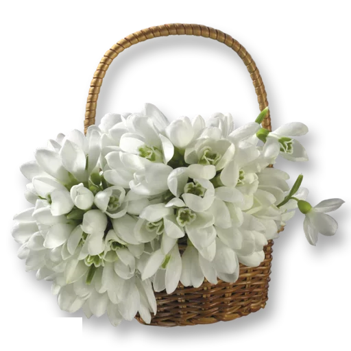 💐 Стикер «Guldasta Flowers» для Telegram