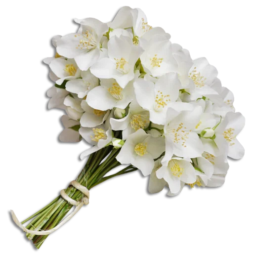 💐 Стикер «Guldasta Flowers» для Telegram