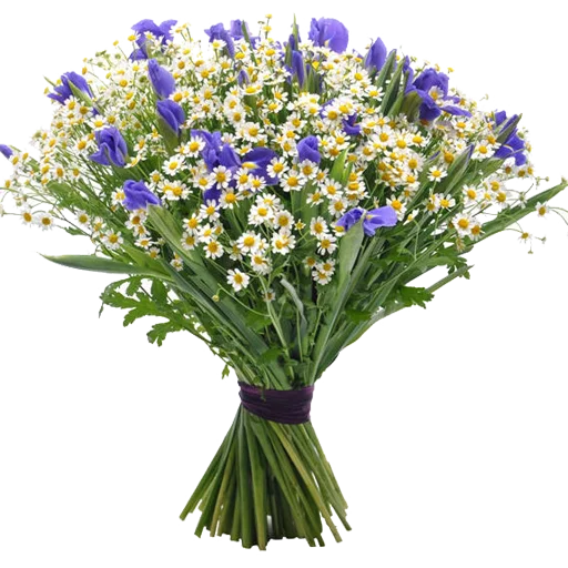 💐 Стикер «Guldasta Flowers» для Telegram