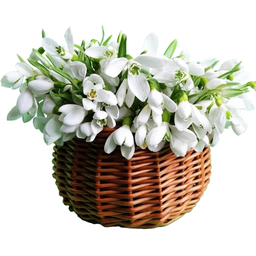 💐 Стикер «Guldasta Flowers» для Telegram