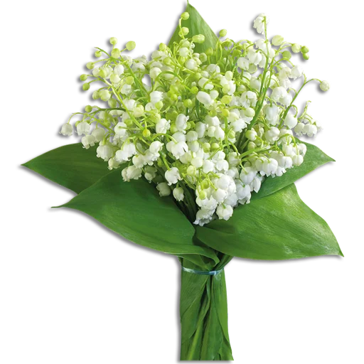 💐 Стикер «Guldasta Flowers» для Telegram