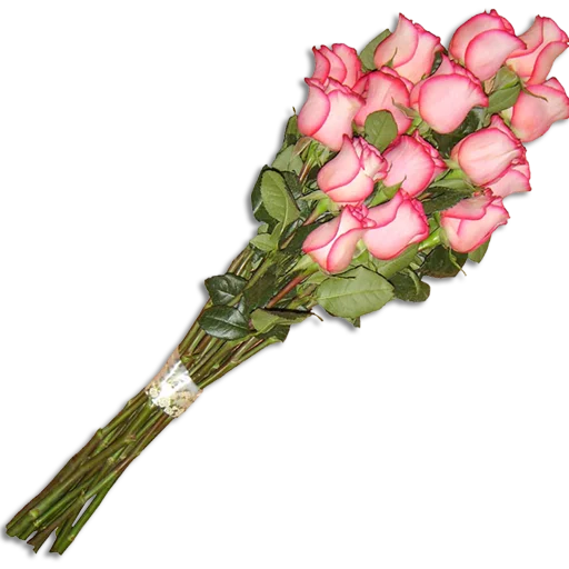 💐 Стикер «Guldasta Flowers» для Telegram