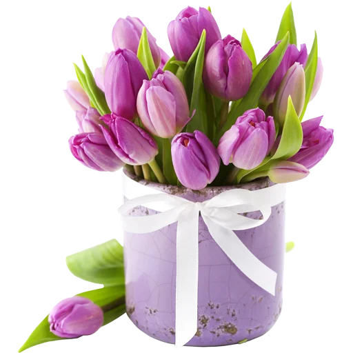 💐 Стикер «Guldasta Flowers» для Telegram
