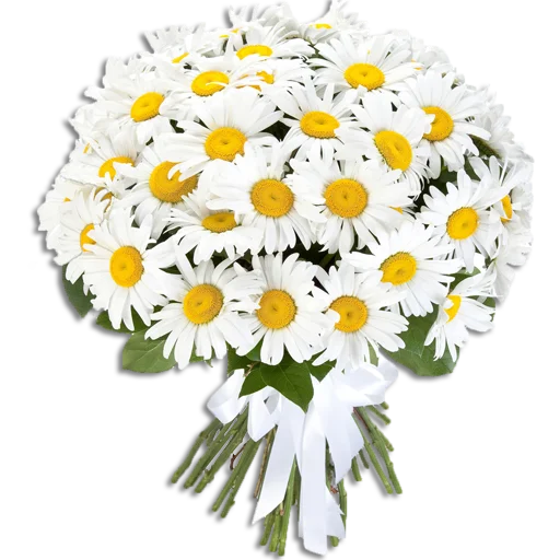 💐 Стикер «Guldasta Flowers» для Telegram