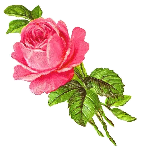 👋 Стикер «Bow» для Telegram