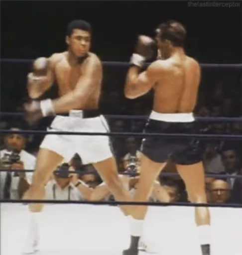 🥊 Стикер «Boxing» для Telegram