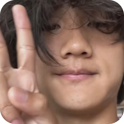 ✌ Стикер «BoyWithUke» для Telegram