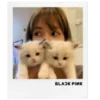 Стикер 16 blackpink