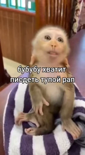 😑 Стикер «Брад бибизяна» для Telegram