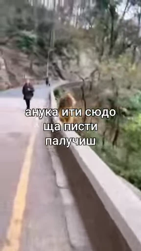 😤 Стикер «Брад бибизяна» для Telegram