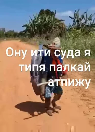 🤬 Стикер «Брад бибизяна» для Telegram