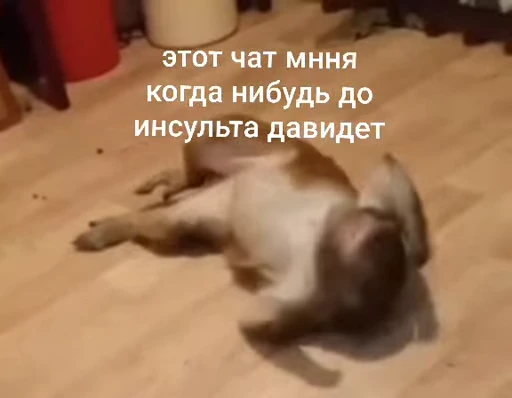 😒 Стикер «Брад бибизяна» для Telegram