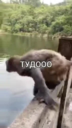 😈 Стикер «Брад бибизяна» для Telegram