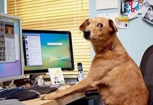 😃 Стикер «Братан помоги» для Telegram
