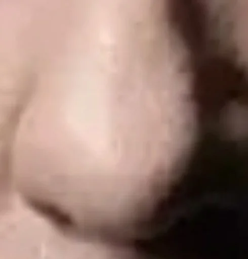 👃 Стикер «Breaking Chad» для Telegram