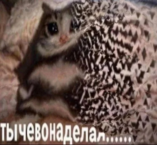 😨 Стикер «бред» для Telegram