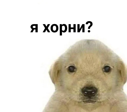 😦 Стикер «бред» для Telegram