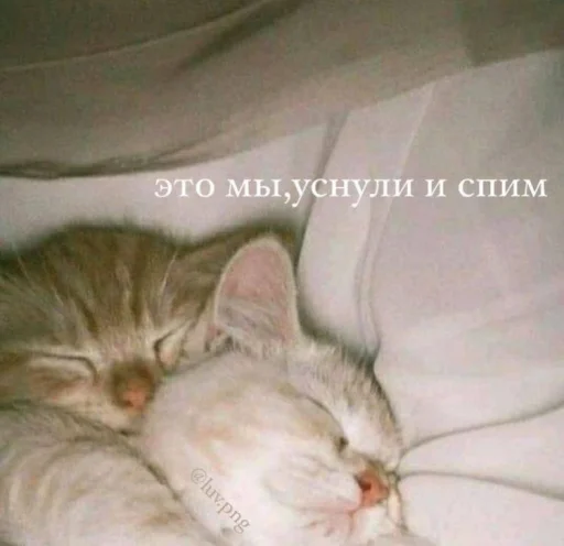 🥰 Стикер «бред» для Telegram