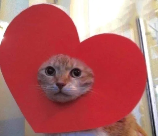 😻 Стикер «бред» для Telegram