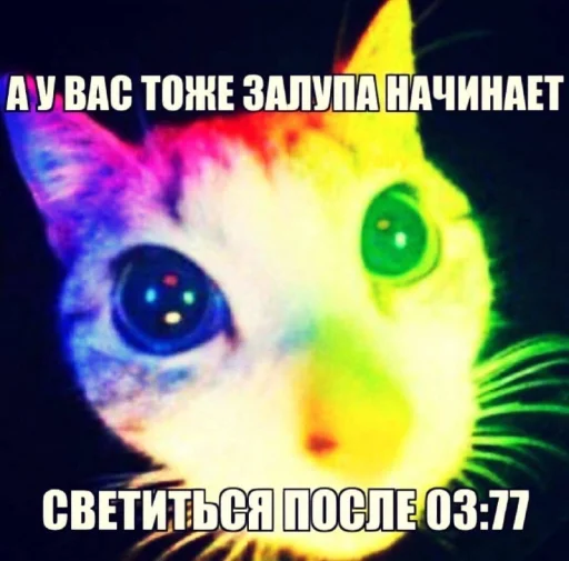 🥵 Стикер «бред» для Telegram