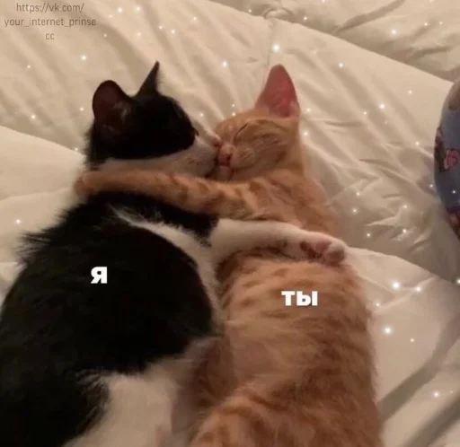 ☺️ Стикер «бред» для Telegram